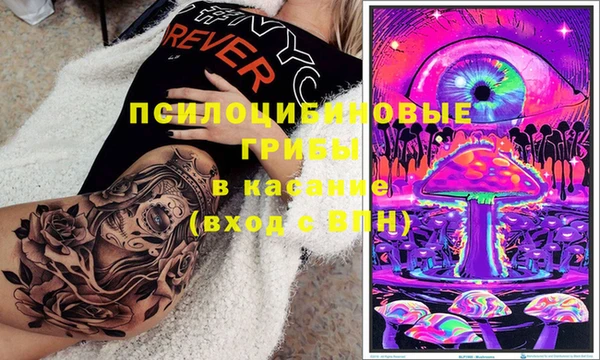 a pvp Арсеньев